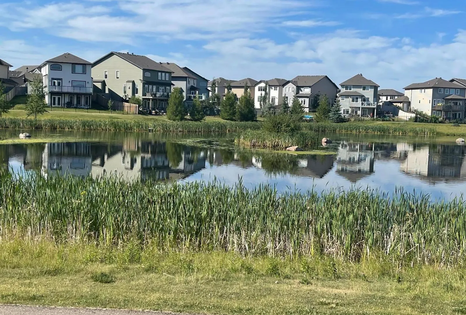 Lägenhet The Cozy Cove - Modern Private Basement Suite With Comfort & Charm, Free Parking, Wifi, Netflix Close To Airport & 18 Minutes To West Edmonton Mall